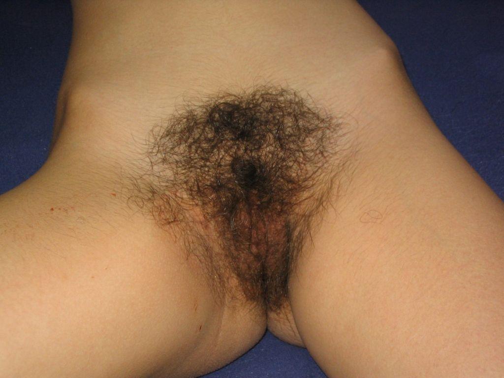 File:Betsera - Female pubic hair.jpeg.