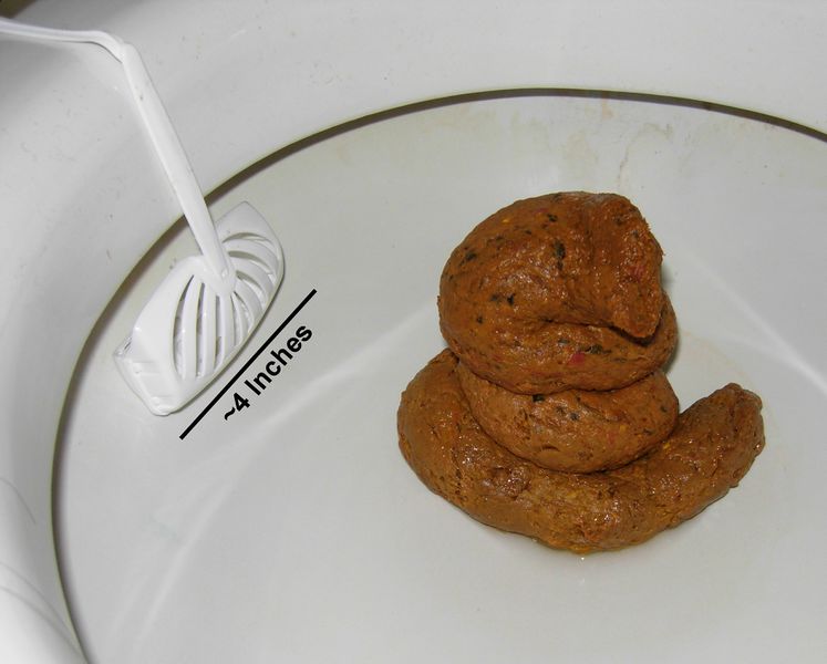 File:Cacetudo - Human Feces.jpeg