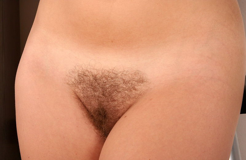 File:Dan7802 - Poil pubien.jpeg