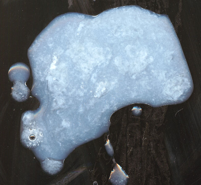 File:Dave - Semen scan.jpeg